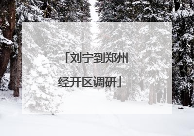 刘宁到郑州经开区调研