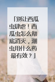 别让西瓜虫肆虐！西瓜虫怎么彻底消灭，潮虫用什么药最有效？