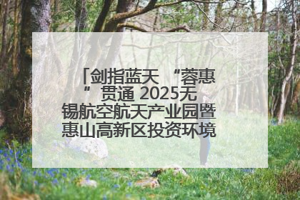 剑指蓝天 “蓉惠”贯通 2025无锡航空航天产业园暨惠山高新区投资环境推介会在成都举行