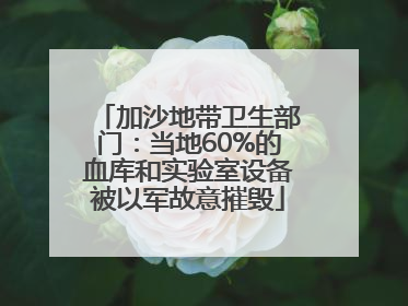 加沙地带卫生部门：当地60%的血库和实验室设备被以军故意摧毁