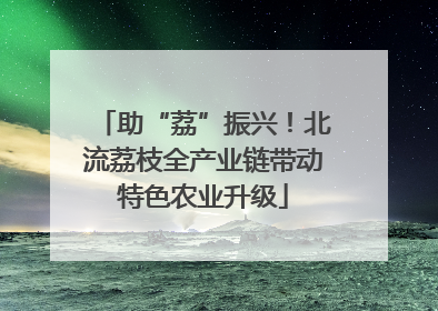 助“荔”振兴！北流荔枝全产业链带动特色农业升级