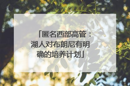 匿名西部高管：湖人对布朗尼有明确的培养计划