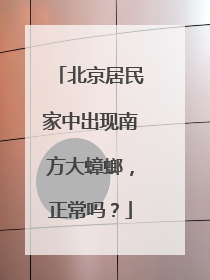 北京居民家中出现南方大蟑螂，正常吗？