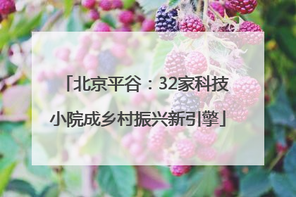 北京平谷：32家科技小院成乡村振兴新引擎