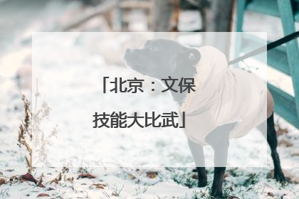 北京：文保技能大比武