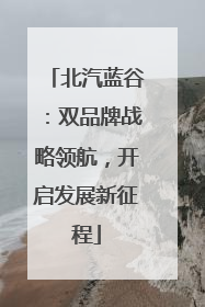 北汽蓝谷：双品牌战略领航，开启发展新征程