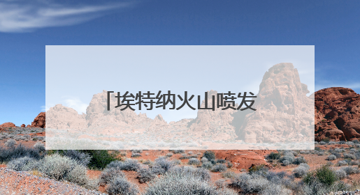 埃特纳火山喷发 约40名游客紧急撤离 温度极高感觉要被烤焦了