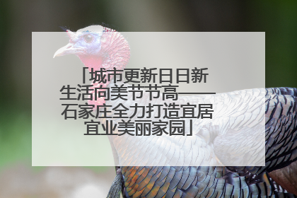 城市更新日日新 生活向美节节高——石家庄全力打造宜居宜业美丽家园