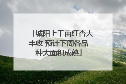 城阳上千亩红杏大丰收 预计下周各品种大面积成熟
