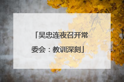 吴忠连夜召开常委会：教训深刻
