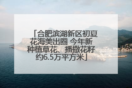 合肥滨湖新区初夏花海美出圈 今年新种植草花、播撒花籽约6.5万平方米