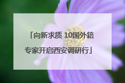 向新求质 10国外籍专家开启西安调研行