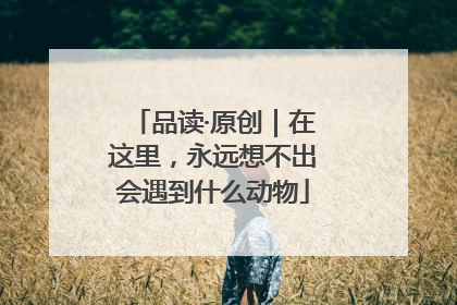 品读·原创｜在这里，永远想不出会遇到什么动物