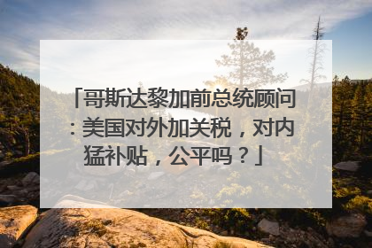 哥斯达黎加前总统顾问：美国对外加关税，对内猛补贴，公平吗？