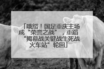 哦豁！国足重庆主场成“荣誉之战”，重蹈“揭幕战关键战生死战火车站”轮回