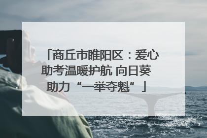 商丘市睢阳区：爱心助考温暖护航 向日葵助力“一举夺魁”