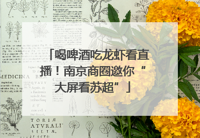 喝啤酒吃龙虾看直播！南京商圈邀你“大屏看苏超”