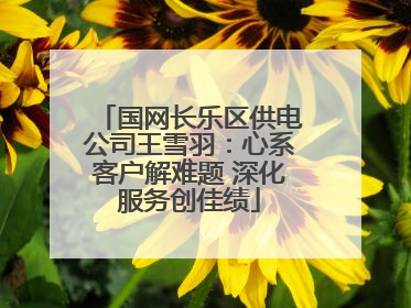 国网长乐区供电公司王雪羽：心系客户解难题 深化服务创佳绩