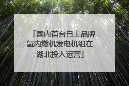 国内首台自主品牌氢内燃机发电机组在湖北投入运营