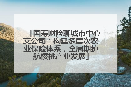 国寿财险聊城市中心支公司：构建多层次农业保险体系，全周期护航樱桃产业发展