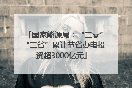 国家能源局：“三零”“三省”累计节省办电投资超3000亿元