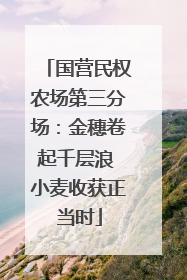 国营民权农场第三分场：金穗卷起千层浪 小麦收获正当时