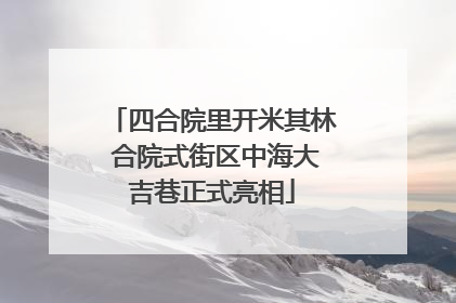 四合院里开米其林 合院式街区中海大吉巷正式亮相