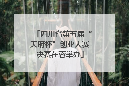 四川省第五届“天府杯”创业大赛决赛在蓉举办