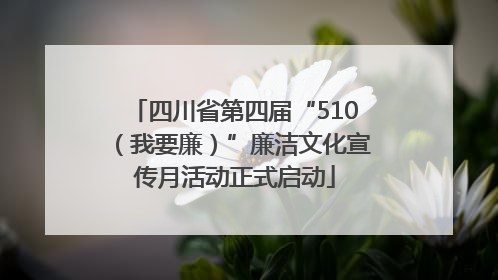 四川省第四届“510（我要廉）”廉洁文化宣传月活动正式启动