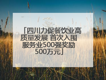 四川力促餐饮业高质量发展 首次入围服务业500强奖励500万元
