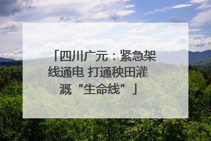 四川广元：紧急架线通电 打通秧田灌溉“生命线”