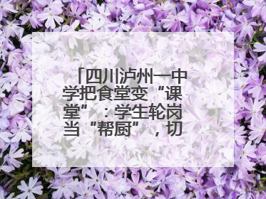 四川泸州一中学把食堂变“课堂”：学生轮岗当“帮厨”，切菜掌勺样样试