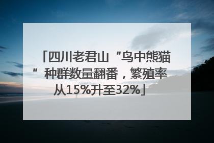 四川老君山“鸟中熊猫”种群数量翻番，繁殖率从15%升至32%