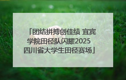 团结拼搏创佳绩 宜宾学院田径队闪耀2025四川省大学生田径赛场