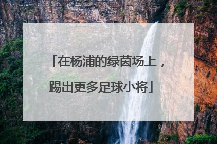 在杨浦的绿茵场上，踢出更多足球小将