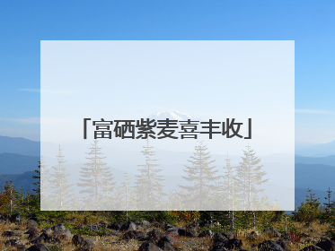 富硒紫麦喜丰收