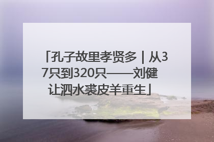 孔子故里孝贤多｜从37只到320只——刘健让泗水裘皮羊重生