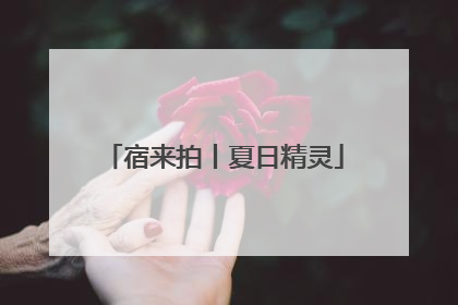 宿来拍丨夏日精灵