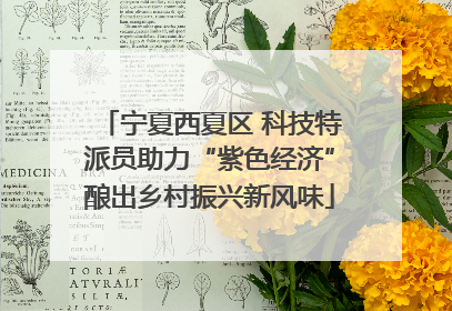 宁夏西夏区 科技特派员助力“紫色经济”酿出乡村振兴新风味