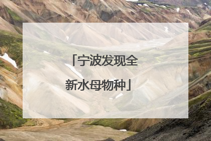 宁波发现全新水母物种