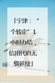 宁津：“个转企”1小时办结，信用代码无缝延续
