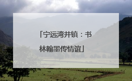 宁远湾井镇：书林翰墨传情谊