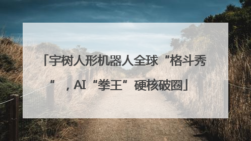 宇树人形机器人全球“格斗秀”，AI“拳王”硬核破圈