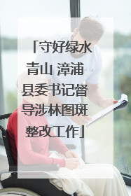 守好绿水青山 漳浦县委书记督导涉林图斑整改工作