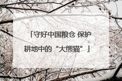 守好中国粮仓 保护耕地中的“大熊猫”