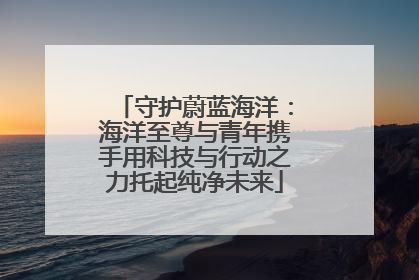 守护蔚蓝海洋：海洋至尊与青年携手用科技与行动之力托起纯净未来