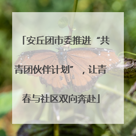 安丘团市委推进“共青团伙伴计划”，让青春与社区双向奔赴