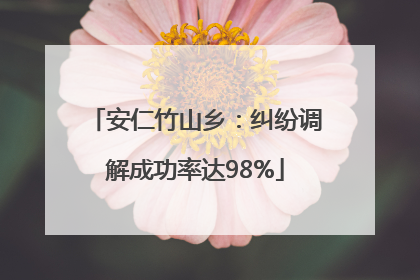 安仁竹山乡：纠纷调解成功率达98%