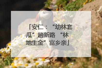 安仁：“幼林套瓜”趟新路 “林地生金”富乡亲