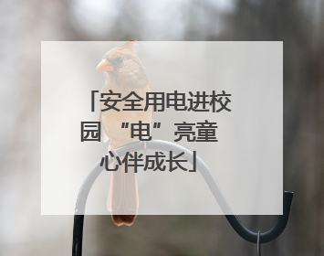 安全用电进校园 “电”亮童心伴成长